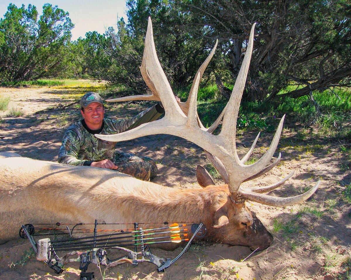 Trophy Bull Elk Hunting New Mexico BMO Hunts
