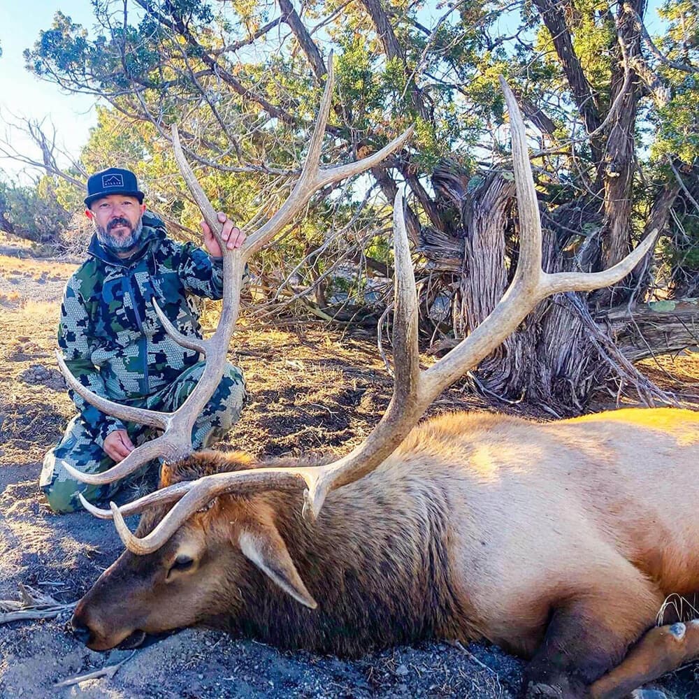 Guided Rifle Elk Hunts in New Mexico BMO Hunts