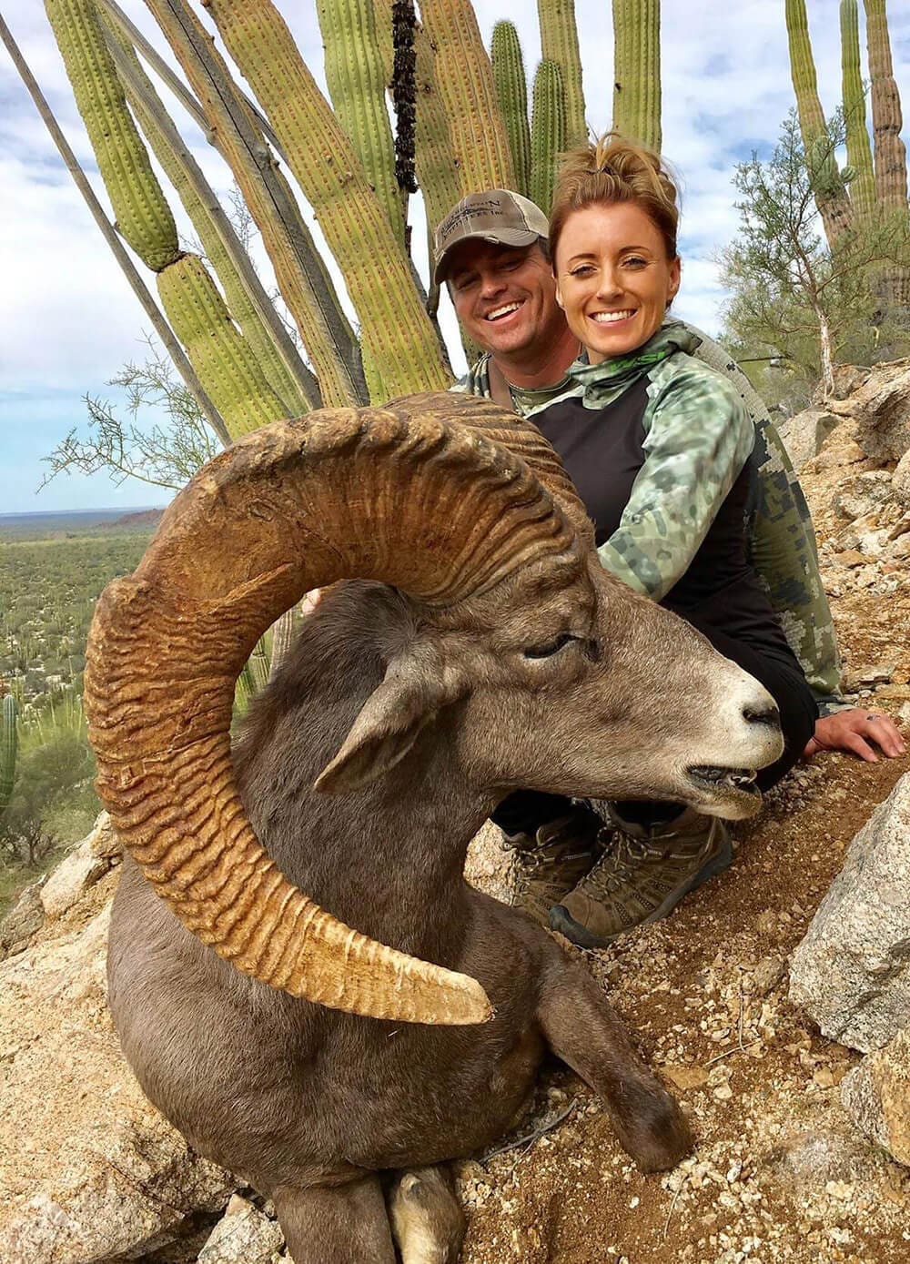 Bighorn Sheep Hunting in Mexico BMO Hunts