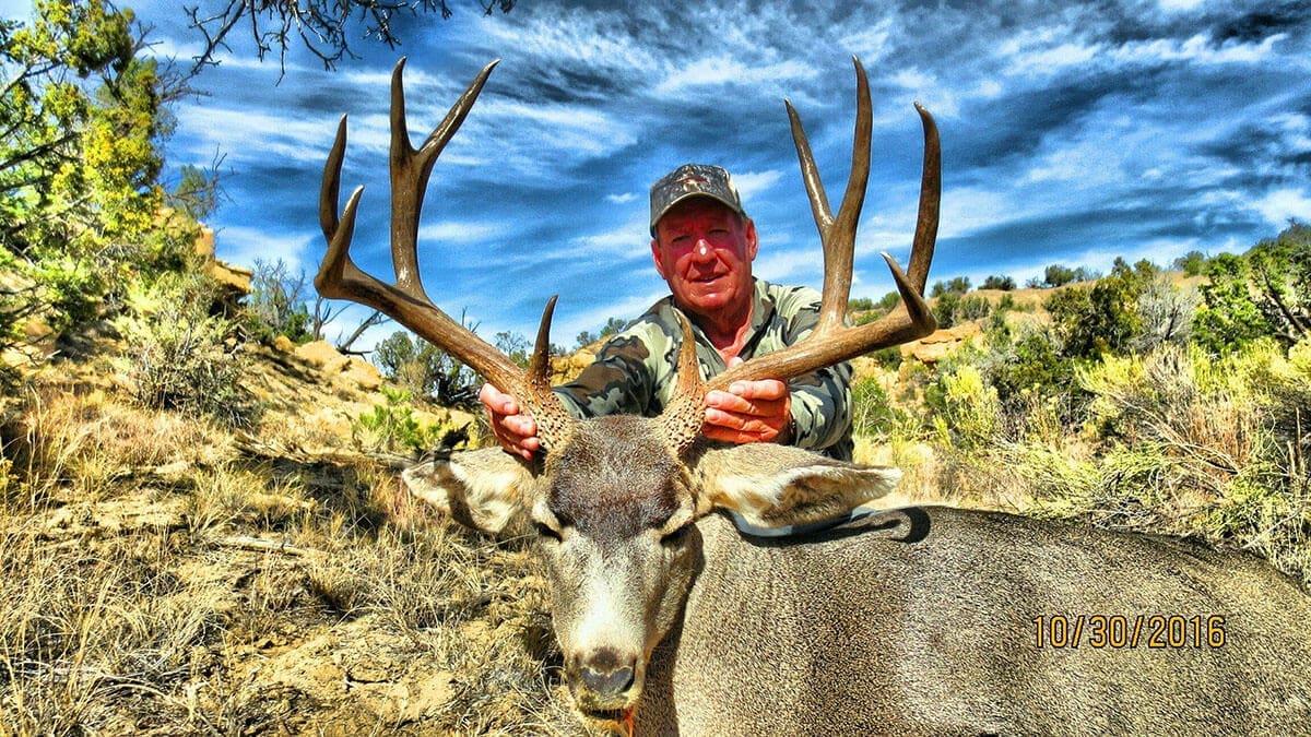 Mule Deer Hunting New Mexico | BMO Hunts