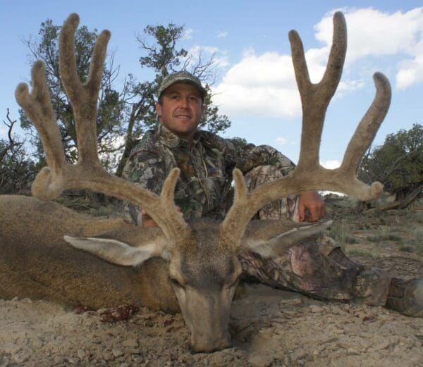 New Mexico Mule Deer Hunts