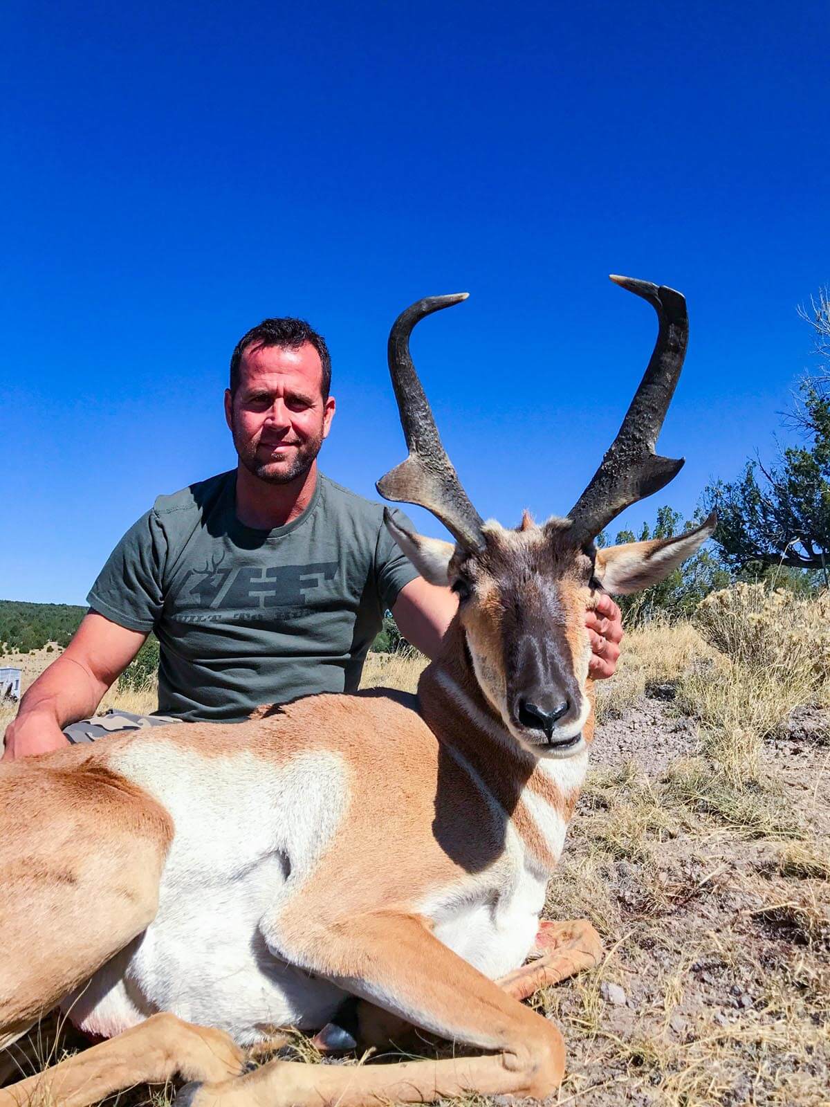 Rifle Pronghorn Hunts New Mexico Hunt BMO Hunts